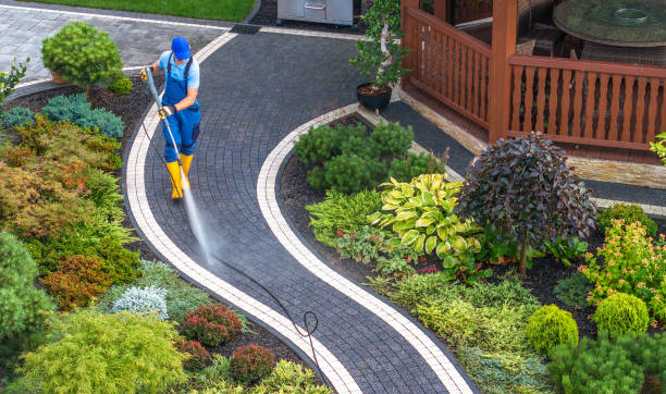 Best Seasonal Cleaning Services in Mcsherrystown, PA